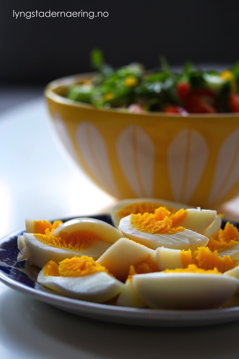 Frisk salat med kokte egg (lavFODMAP)
